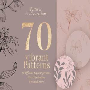 插画&黄金数字纸张图案纹理 Illustrations & Gold Digital Papers