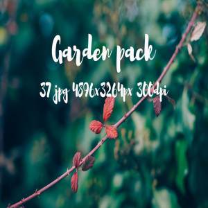 花园花卉植物高清照片素材 Garden photo Pack III