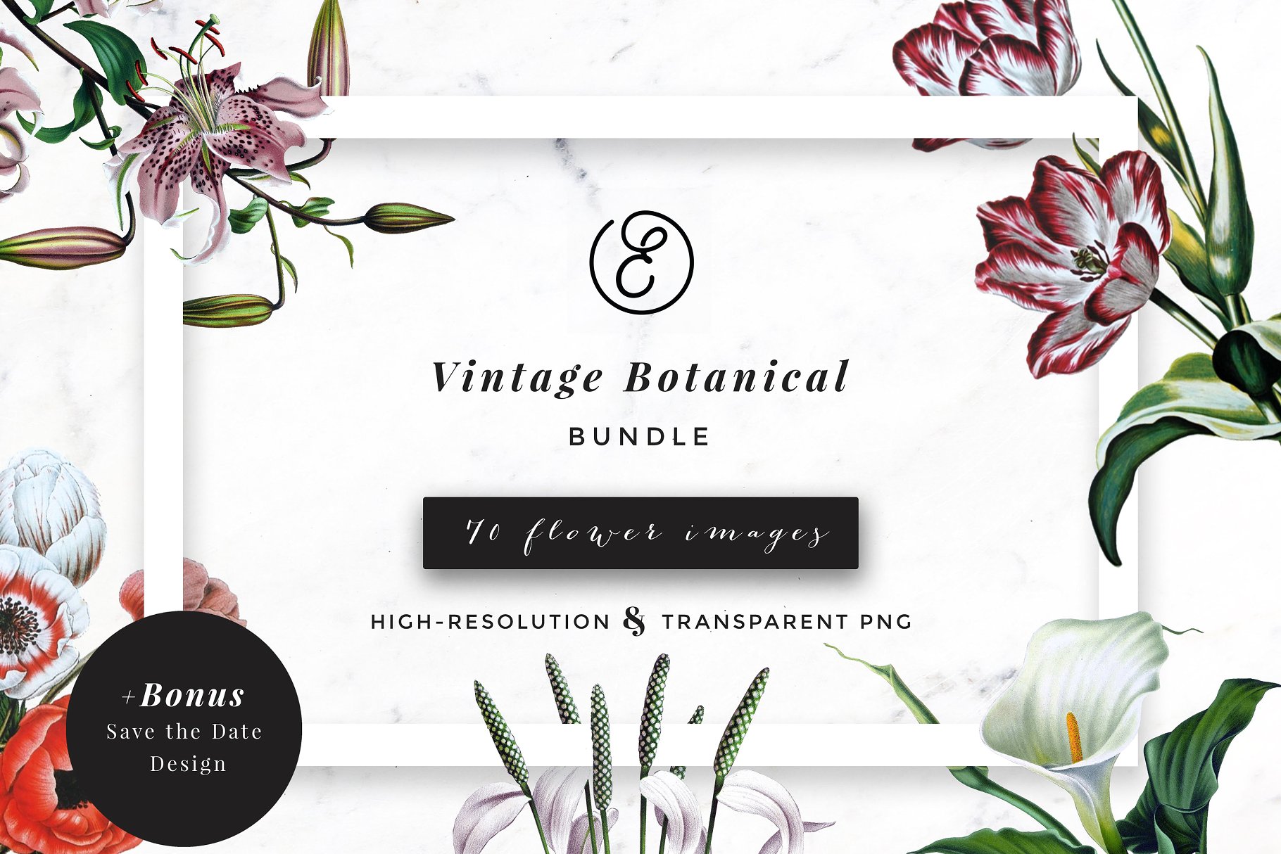 复古植物花卉剪贴画合集 Vintage Botanical Flower Bundle