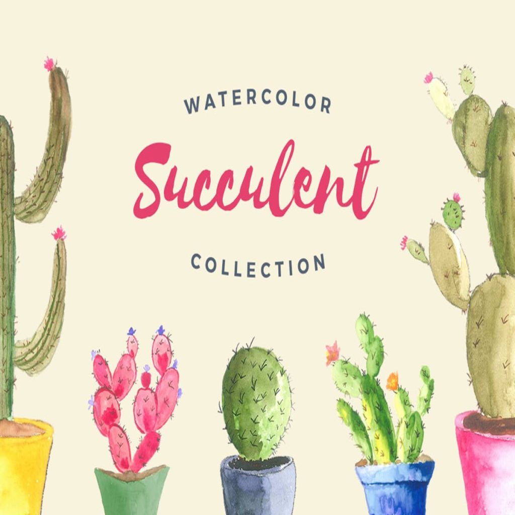 多肉植物手绘水彩插画合集watercolor Succulent Collection 一流设计网