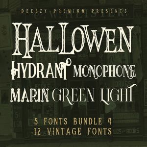 复古风格衬线英文字体合集下载 5 Fonts Bundle 4