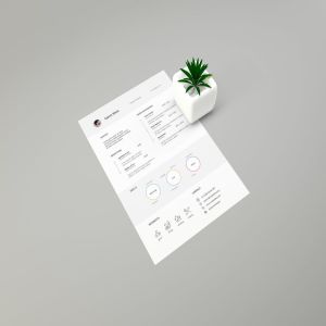 简历设计预览样机模板 Resume Mockups and Template