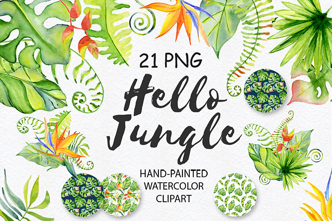21张高清热带丛林水彩元素美图 Free Tropical Watercolor Bundle