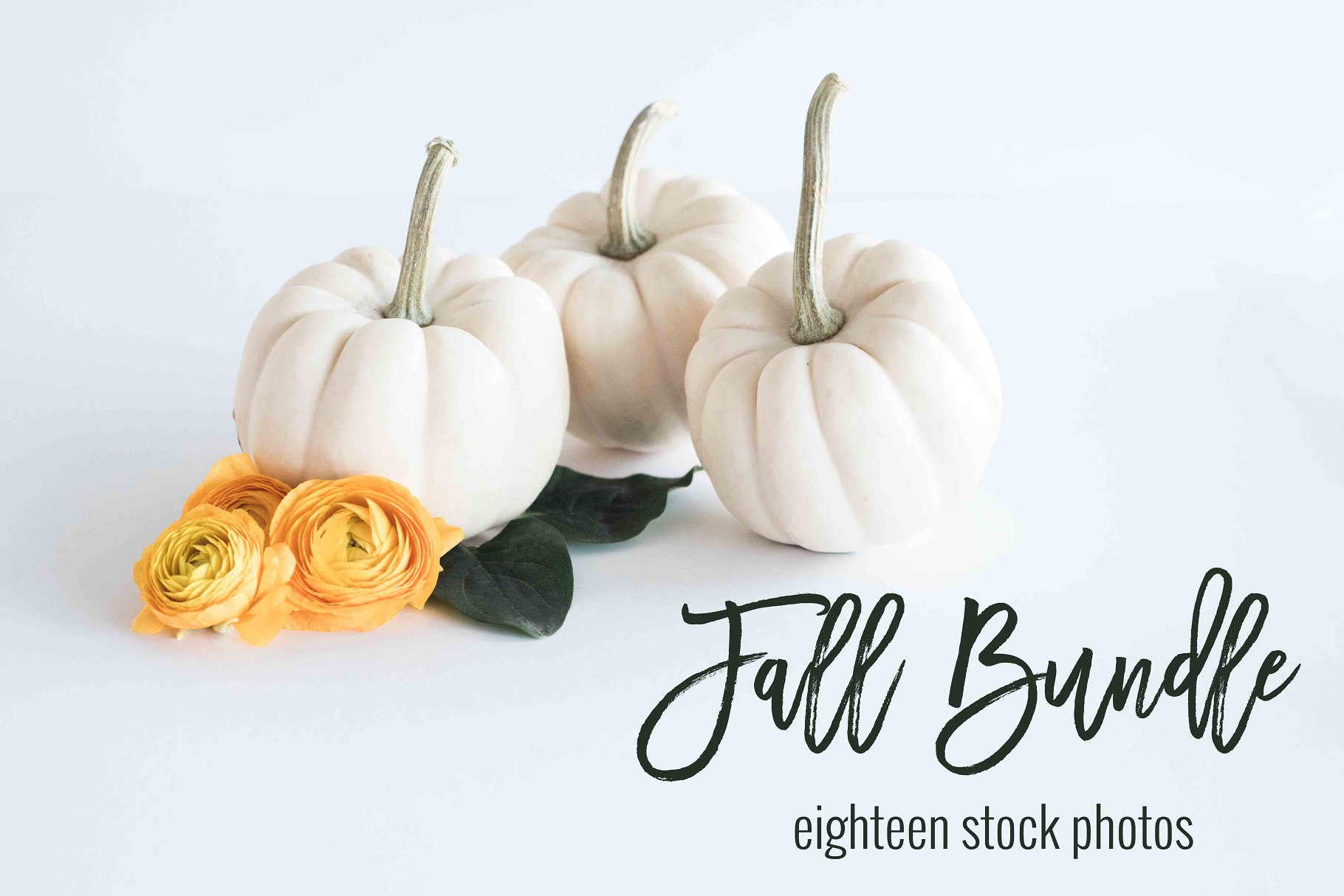现代简约风办公场景样机 Fall Stock Photo Bundle