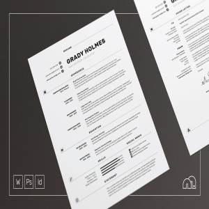 两列式简约专业简历模板 Grady – Resume/CV