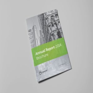 公司企业年度报告设计INDD模板素材 Annual Report 2014 Brochure