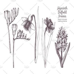 复古手绘春季花卉插图 Vector Flowers Collection