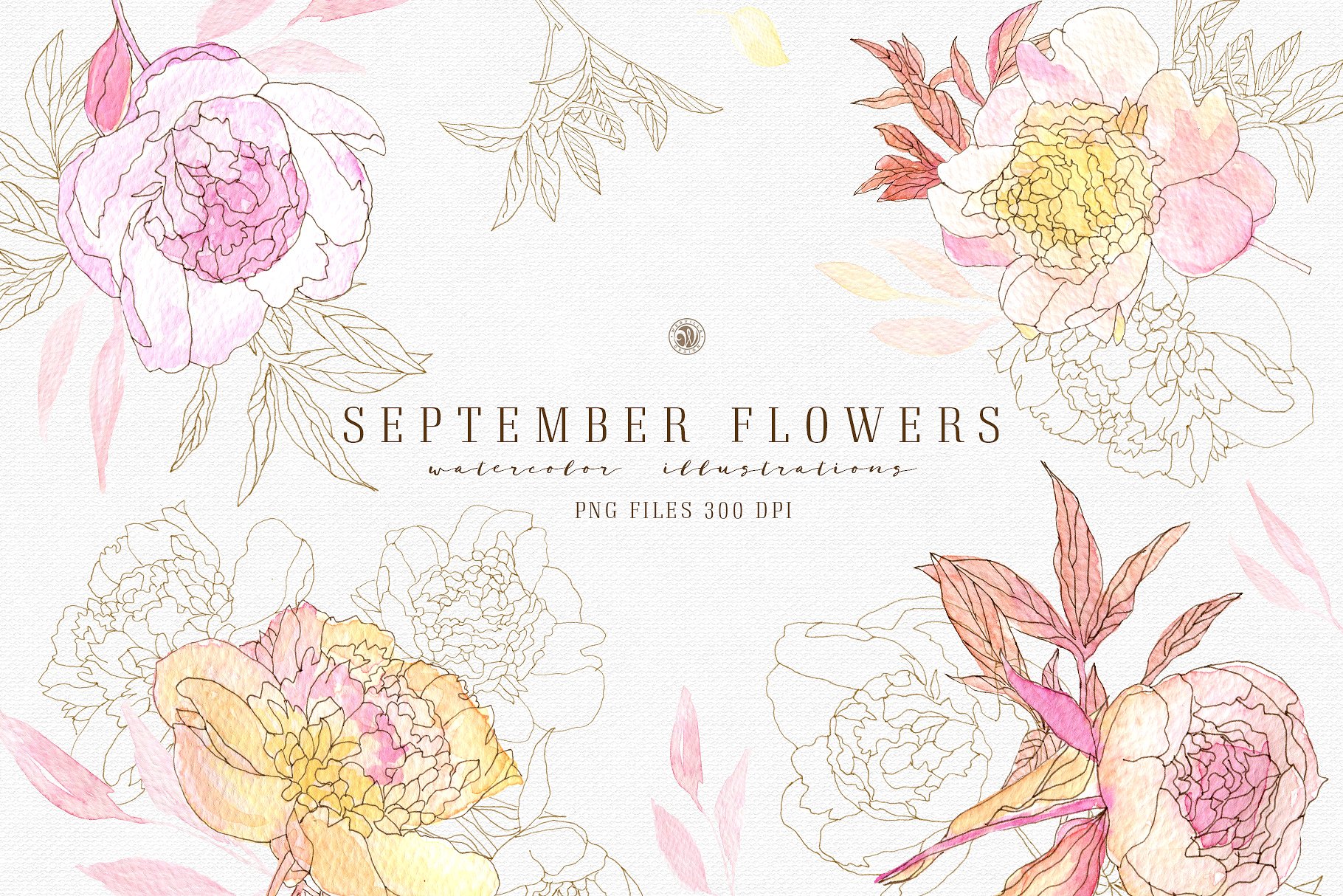 九月淡雅风水彩手绘花卉插画素材v2 September Flowers vol.2
