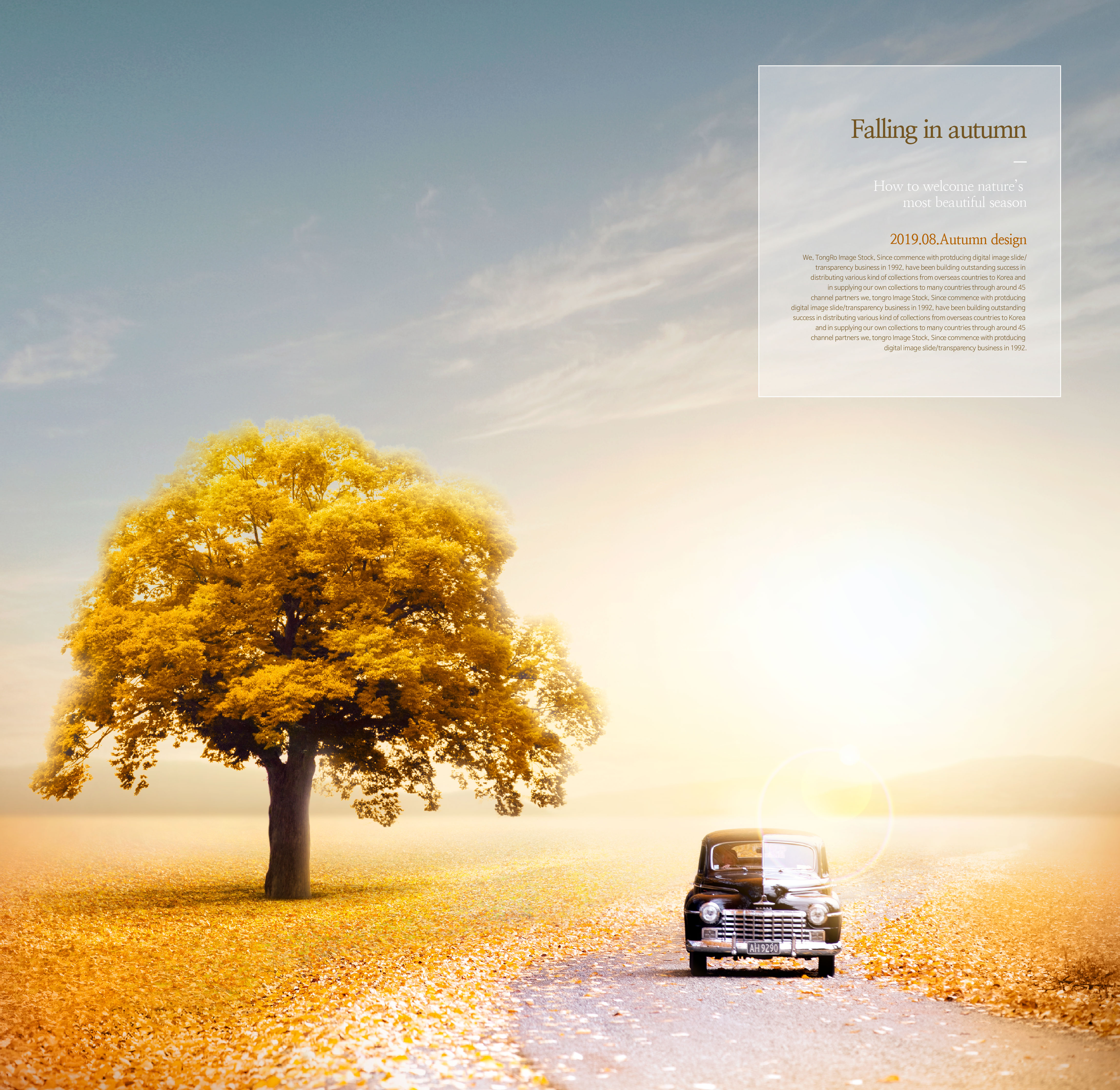 唯美秋天季节海报图片psd素材合集