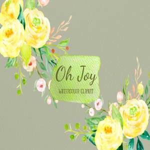 明亮水彩黄色玫瑰花剪贴画装饰 Watercolor Yellow Rose Oh Joy