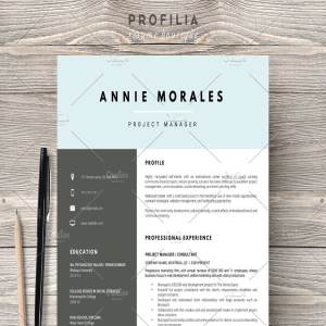 经典实用个人简历标准模板合集 Word Resume & Cover letter Template