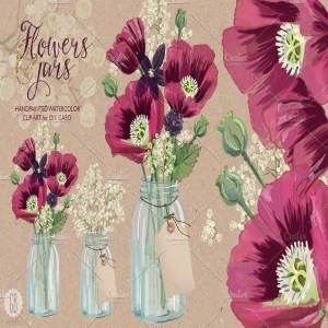 手绘水彩罂粟花元素插画素材 Watercolor burgundy poppies in a jar