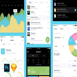 数据信息统计分析类应用设计UI套件 Sked Mobile UI Kit