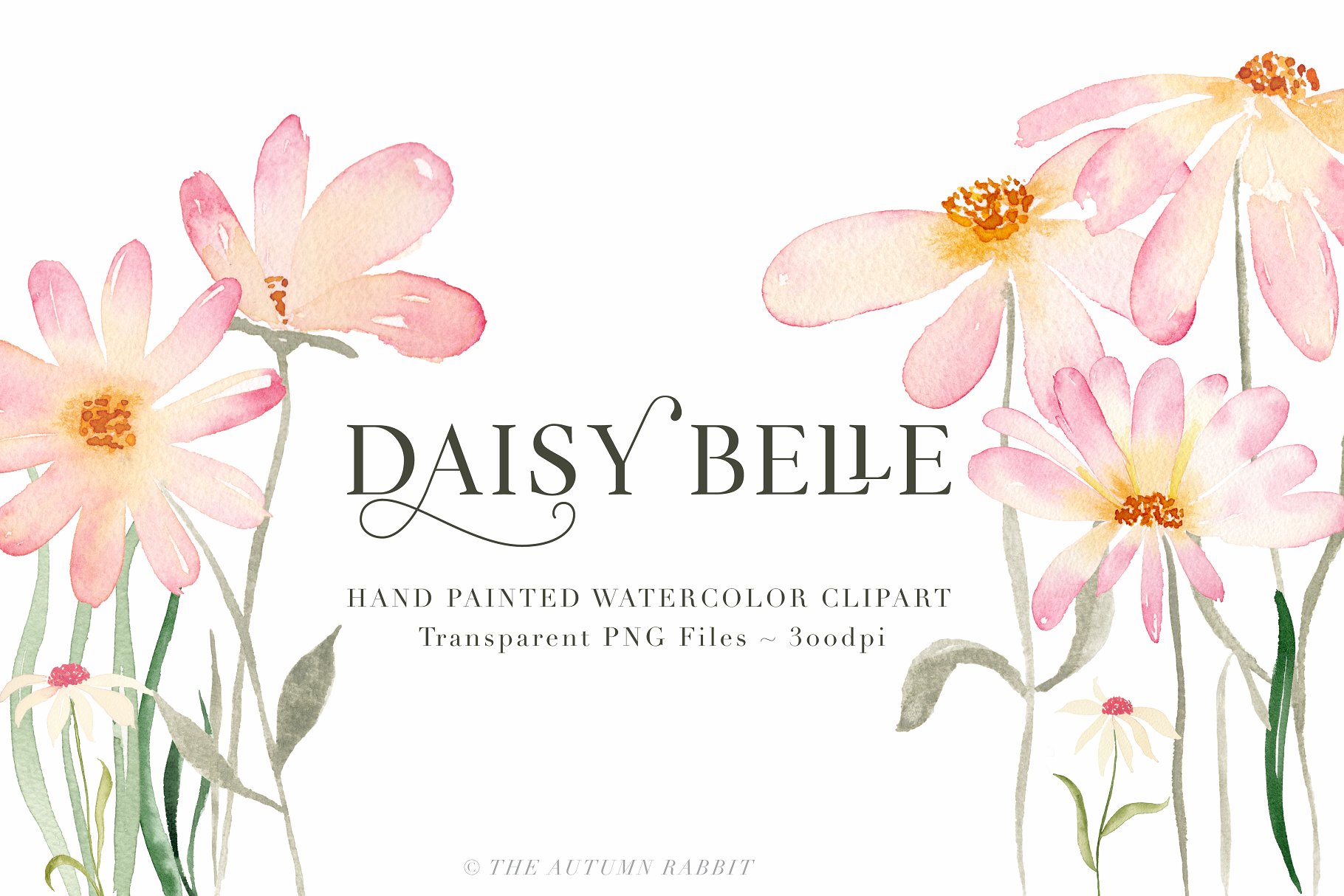 独立手绘花卉树叶图像 Daisy Belle – Watercolor Flowers