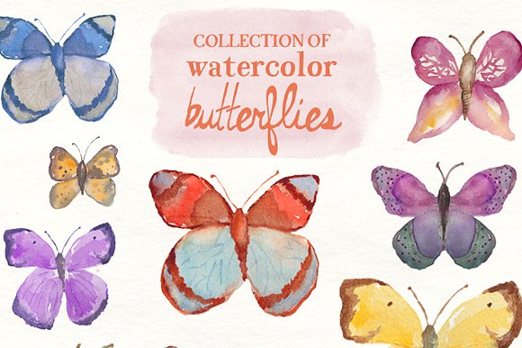 多种蝴蝶水彩剪贴画 Watercolor Butterflies