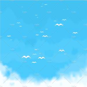 一群在空中飞翔的鸟  Sky birds