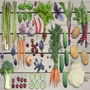 Farmers Market Scene Generator农贸市场场景生成器 1.56 GB[psd]