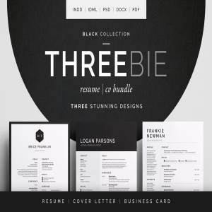 三合一个人简历模板下载 Threebie Resume/CV Bundle 3