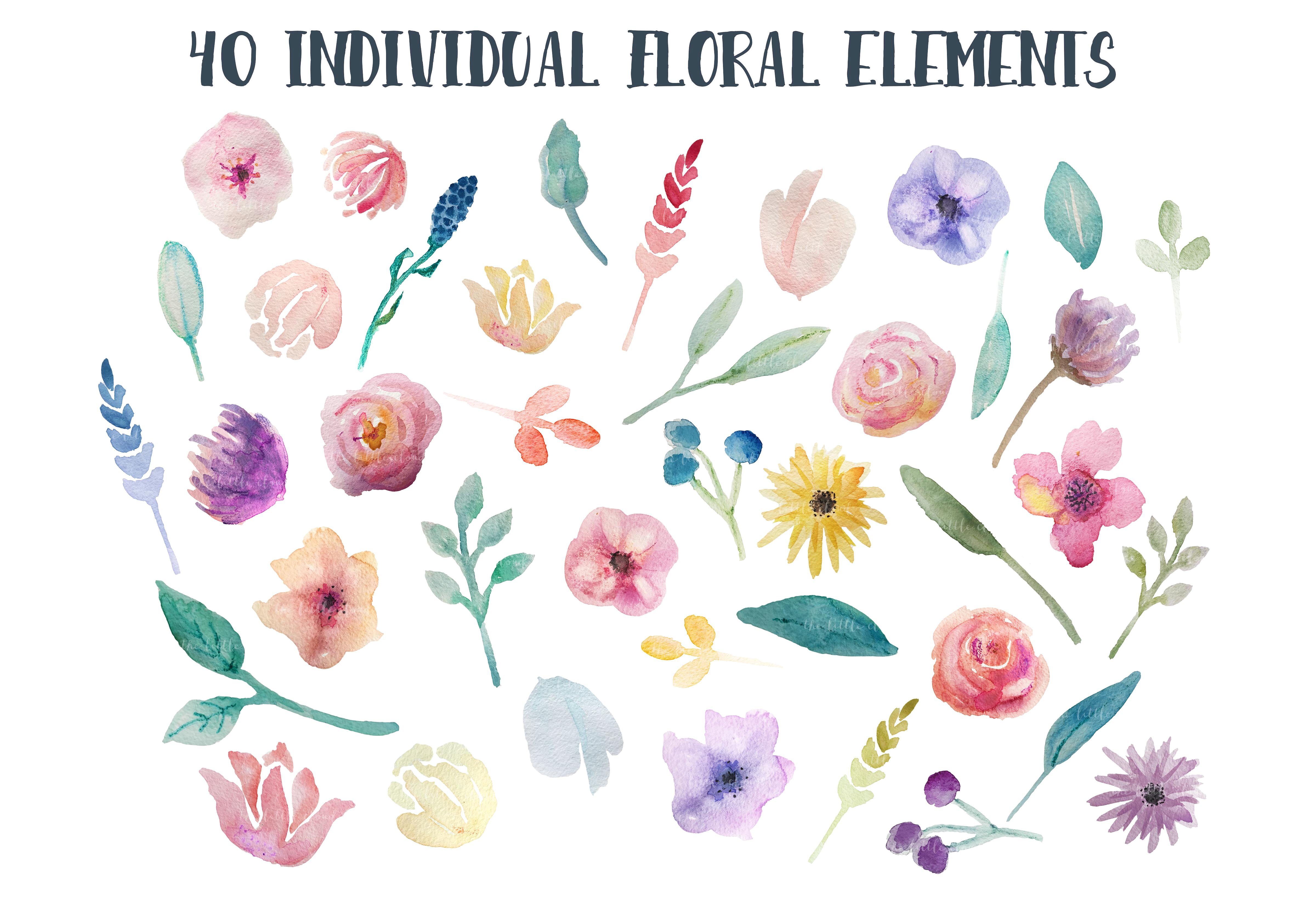 各种各样水彩花卉剪贴画 Watercolor flowers clipart