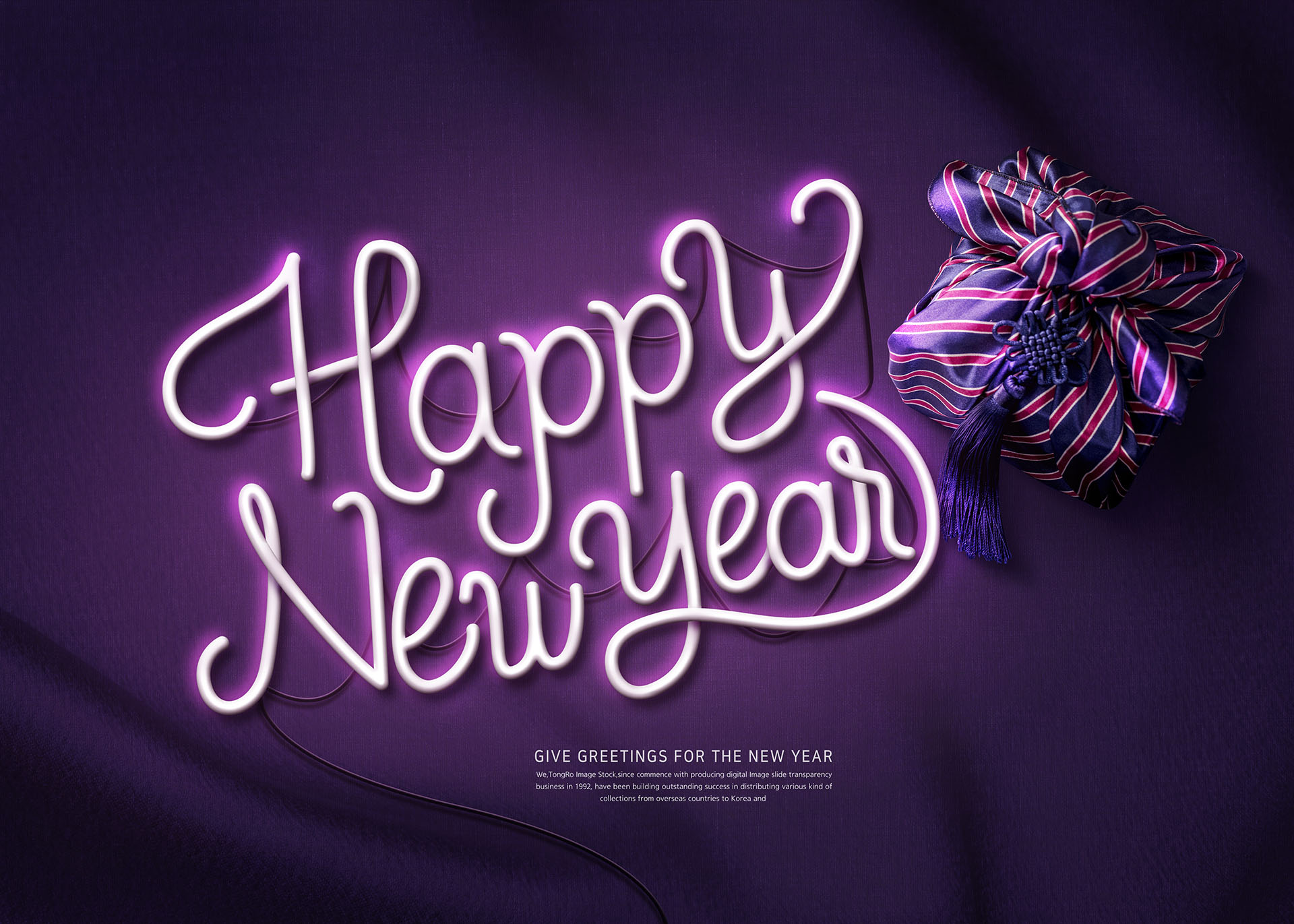 高端时尚的猪年（己亥年）海报模板PSD