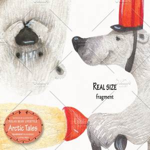 可爱北极熊故事水彩插画素材