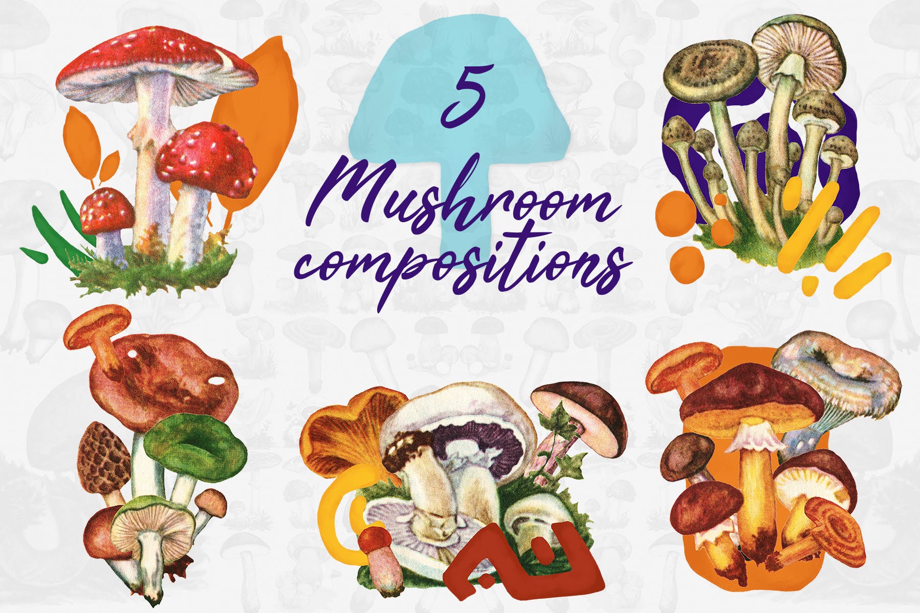 5款蘑菇手绘矢量插画PNG图片素材 5 Mushroom Compositions