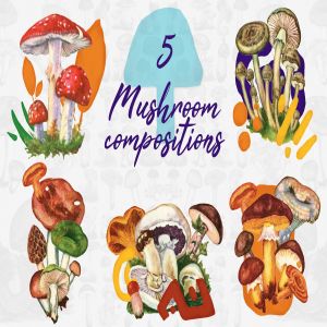 5款蘑菇手绘矢量插画PNG图片素材 5 Mushroom Compositions插图1