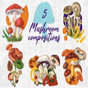 5款蘑菇手绘矢量插画PNG图片素材 5 Mushroom Compositions