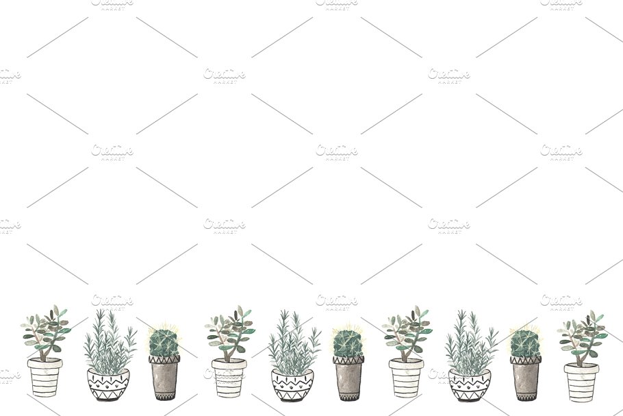 高分辨盆栽水彩插画 Watercolor illustration