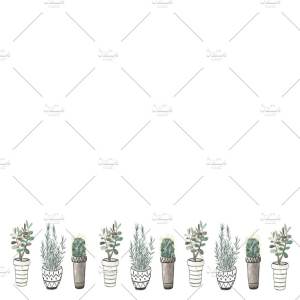 高分辨盆栽水彩插画 Watercolor illustration