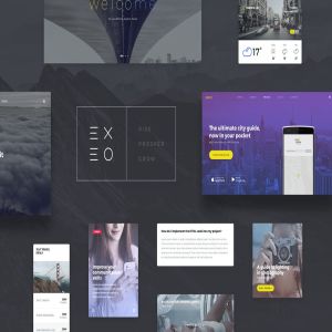 充满活力、现代、完全可定制UI套件 Exeo UI Kit