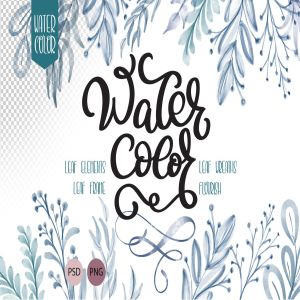 优雅手绘水彩叶子主题插图素材 Watercolor Leaves Collection