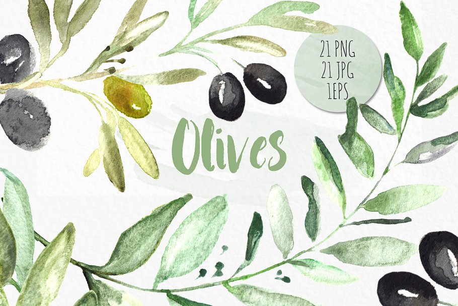 橄榄枝水彩剪贴画 Olives. Watercolor illustrations