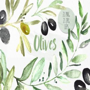 橄榄枝水彩剪贴画 Olives. Watercolor illustrations