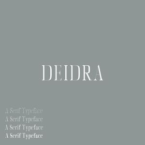Diedra衬线字体系列字体家族 Diedra Serif Font Family Pack