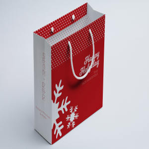购物袋纸袋设计图展示样机06 Shopping Bag Mockup 06