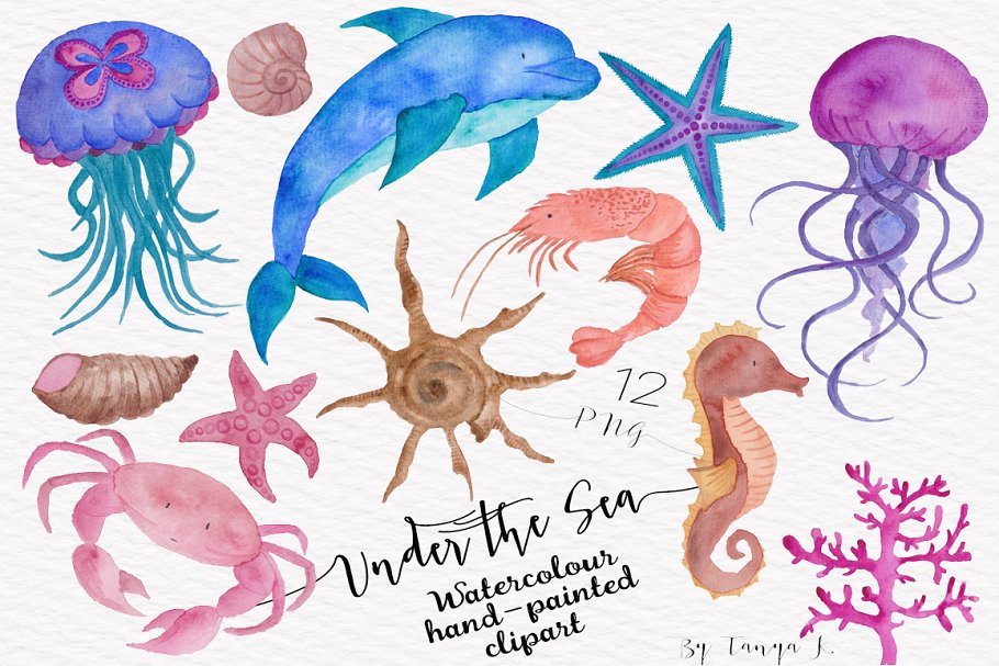 海洋生物水彩插画合集 Under the Sea Watercolor Collection