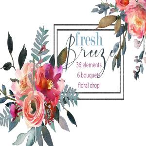 桃色牡丹水彩剪贴画 Peach Peonies Watercolor Clipart