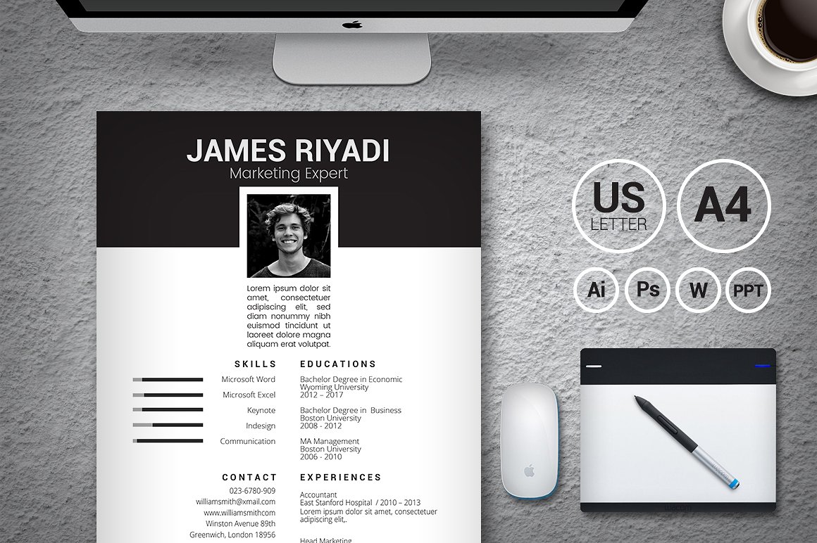 像明星一样的简历模板下载