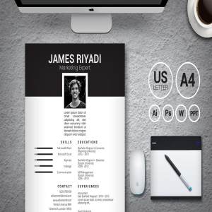 像明星一样的简历模板下载