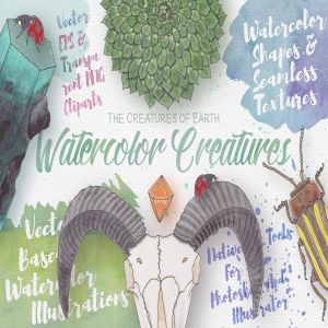 生物系列水彩手绘插画合集Vol.1 Watercolor Creatures vol. 1