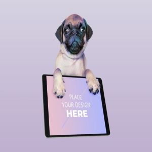 宠物主题网站设计演示电脑样机模板 Dog with Computer Mockup插图2