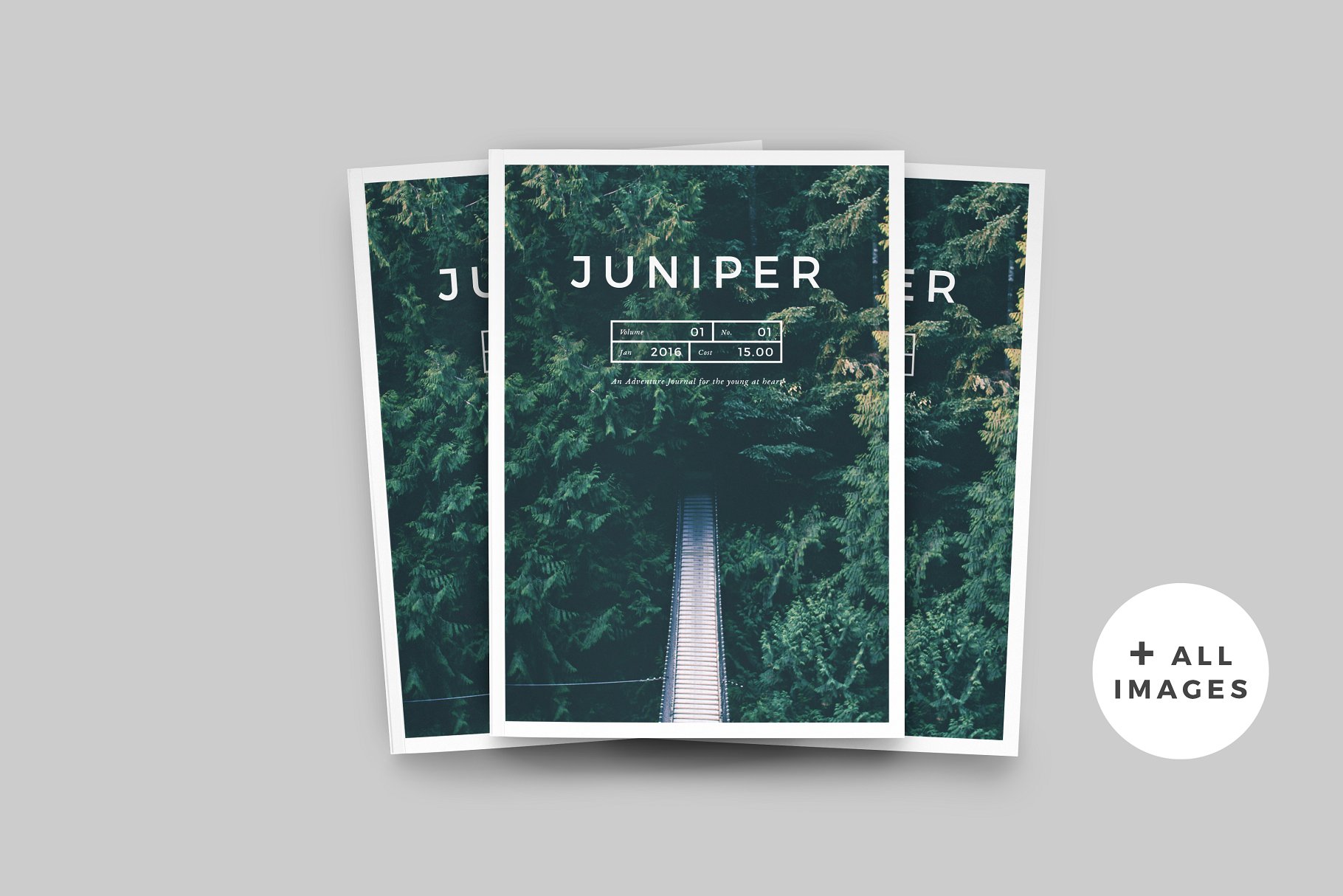 现代简约多用途杂志模板 J U N I P E R  Magazine / Portfolio