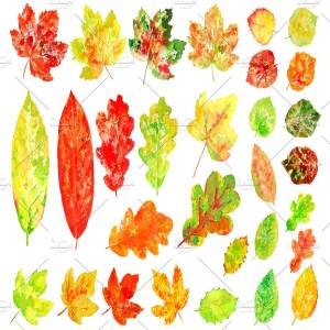 水彩多彩树叶剪贴画 Watercolor Colorful Leaves Clipart