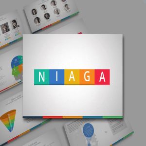 商业市场分析PPT模板 NIAGA Powerpoint Template