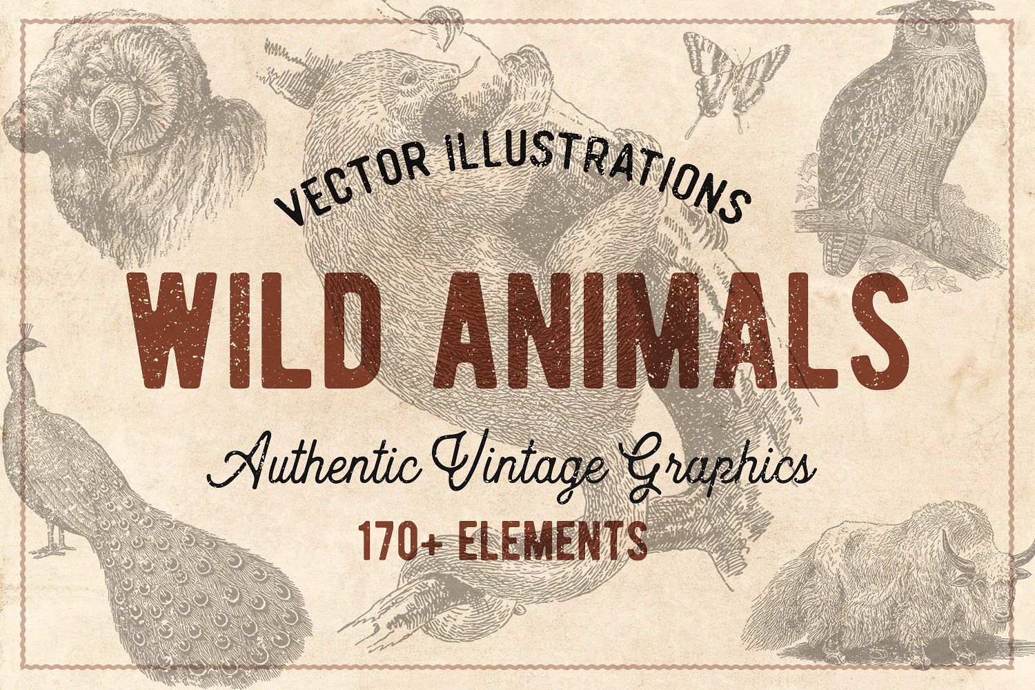 176个复古野生动物手绘（矢量）