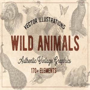176个复古野生动物手绘（矢量）