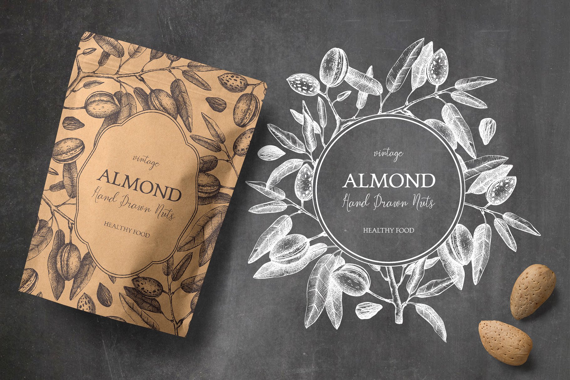 杏仁/榛子/核桃矢量插画套装 Vector Almond, Hazelnut & Walnut Set