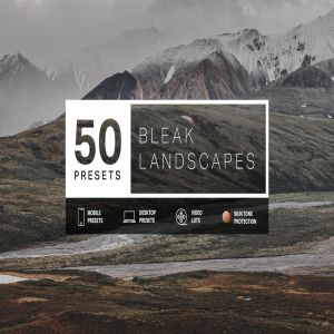 50款户外风景类摄影的调色处理LR预设 50 Bleak Lightroom Presets and LUTs