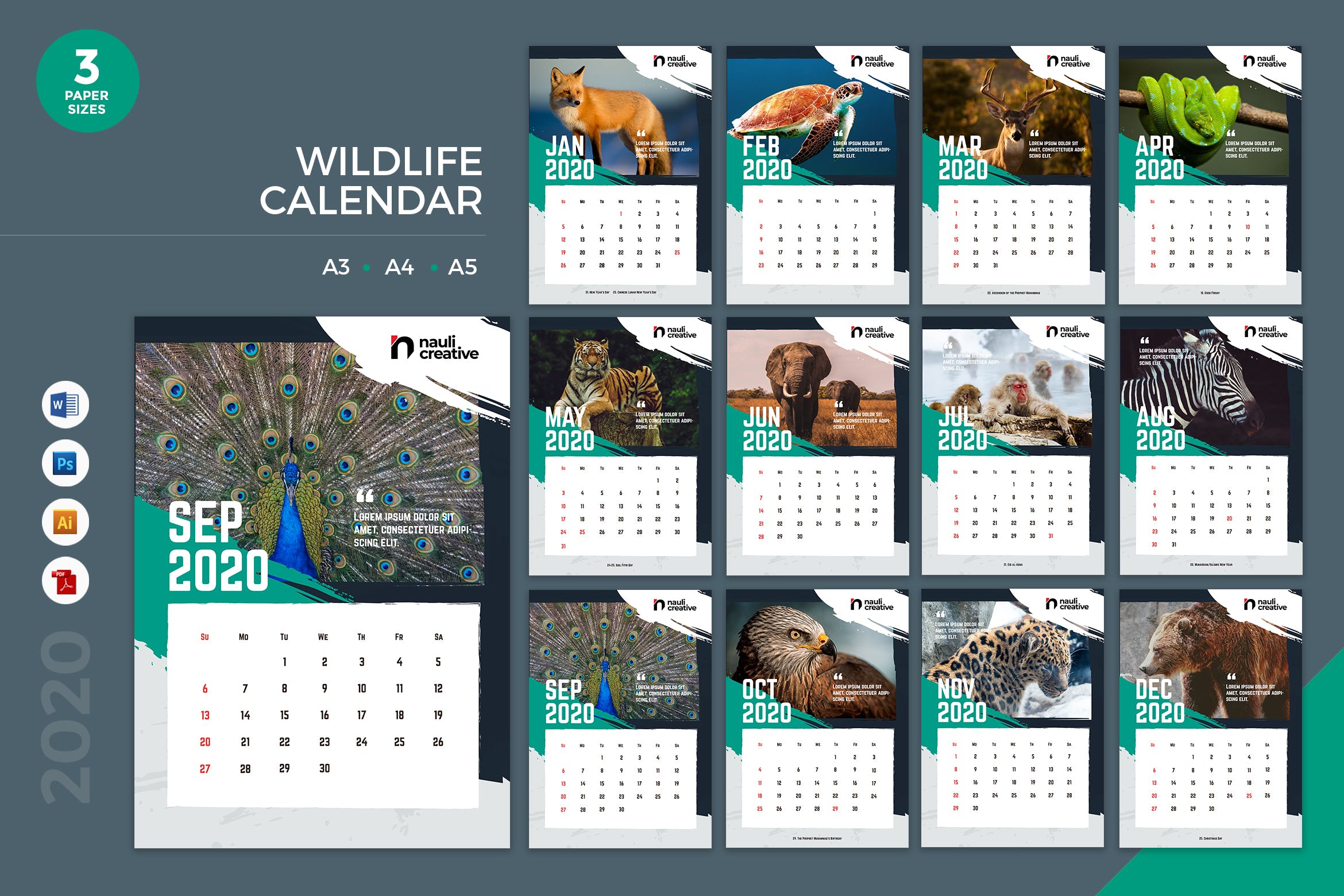 野生动物摄影主题2020年日历表设计模板 Wildlife Calendar 2020 Calendar – AI, DOC, PSD